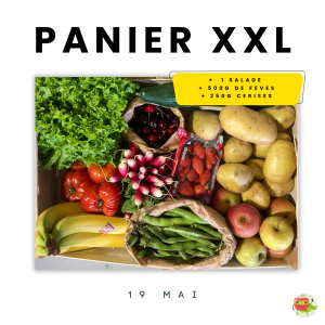 Panier XXL